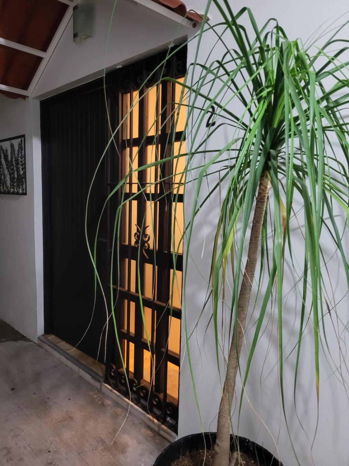 Casa B & L Centrico Departamento Appartement Oaxaca Buitenkant foto